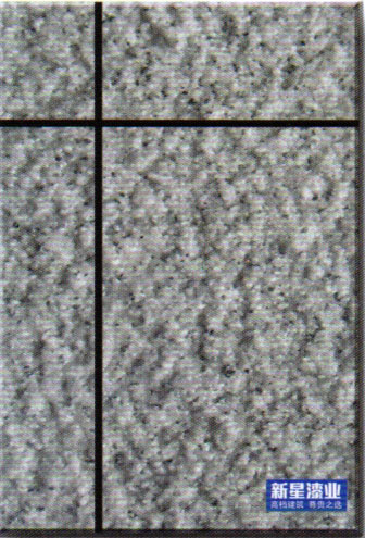 XX-PS012