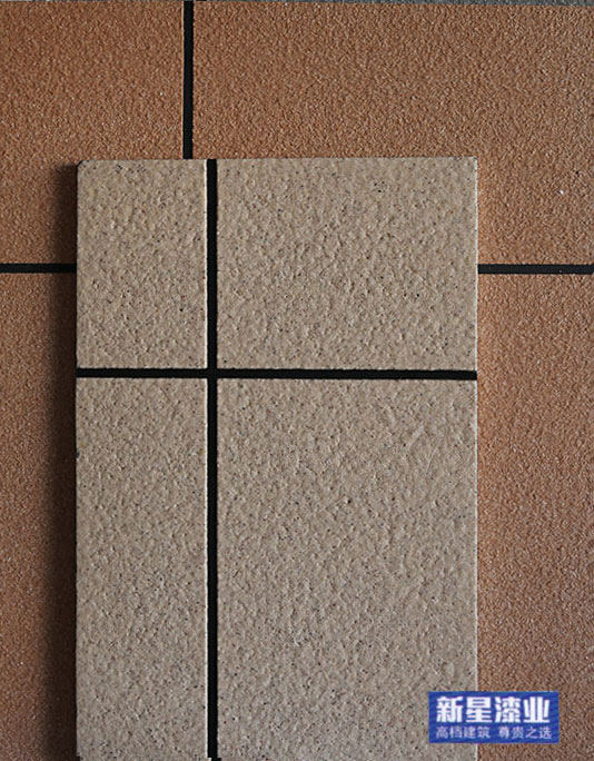 XX-PS021
